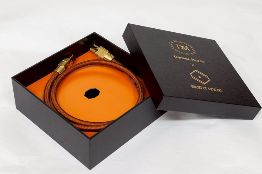 Silent Angel x DM Connect Upgraded Ethernet Cable